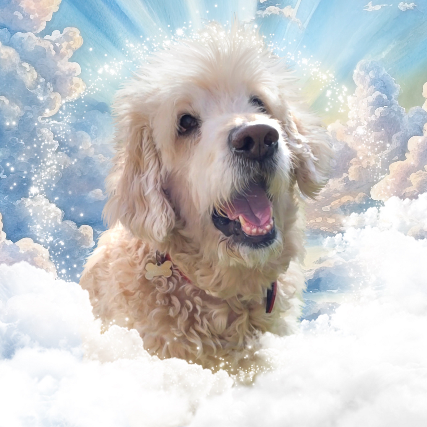 The loss of a pet edit - My Angel in Heaven - Personalised Pet Portrait, Memorial